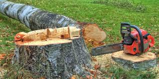 Best Stump Grinding and Removal  in Covelo, CA